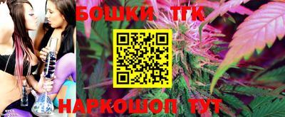 МДПВ Гусев