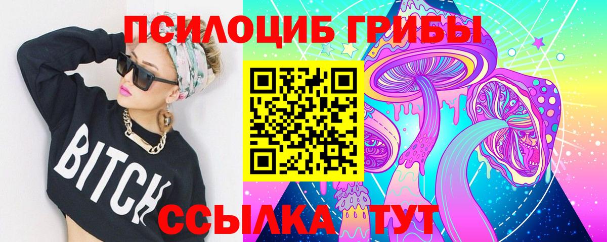 Галлюциногенные грибы Psilocybe Искитим