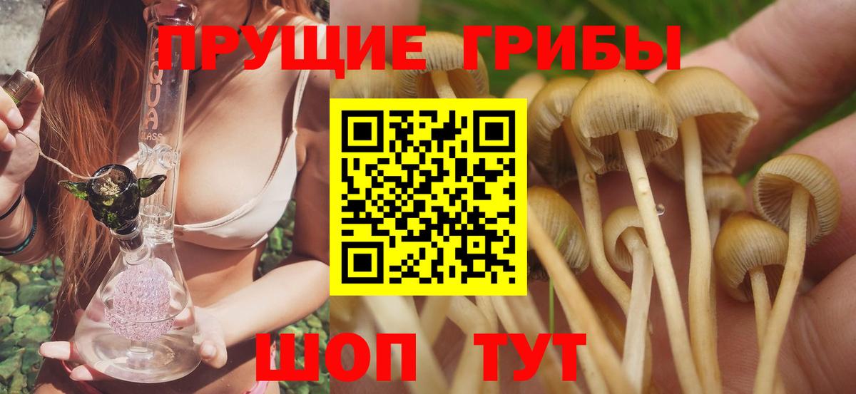 даркнет сайт  Вход с VPN  Искитим  Галлюциногенные грибы Cubensis  Галлюциногенные грибы Psilocybine cubensis 